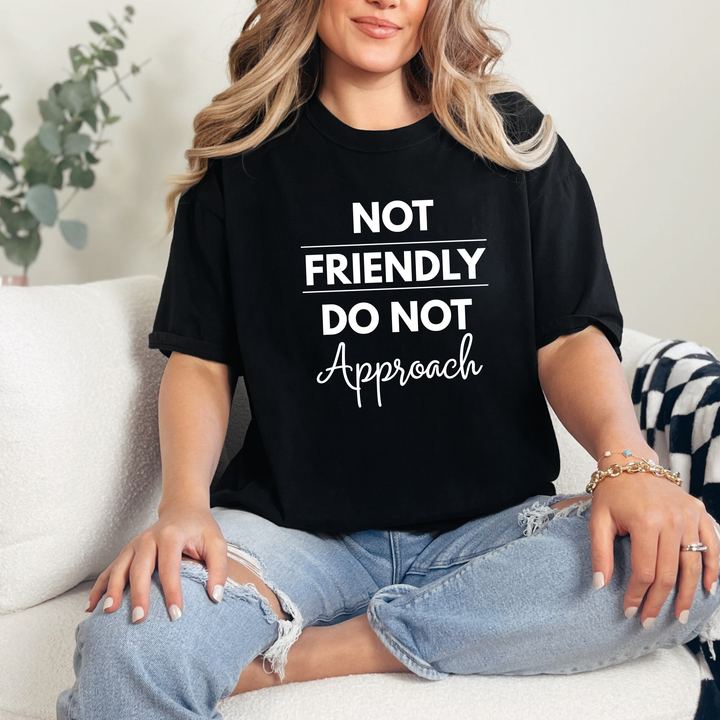 Wholesale Not Friendly Do Not Approach Graphic Tee - Black Tee
