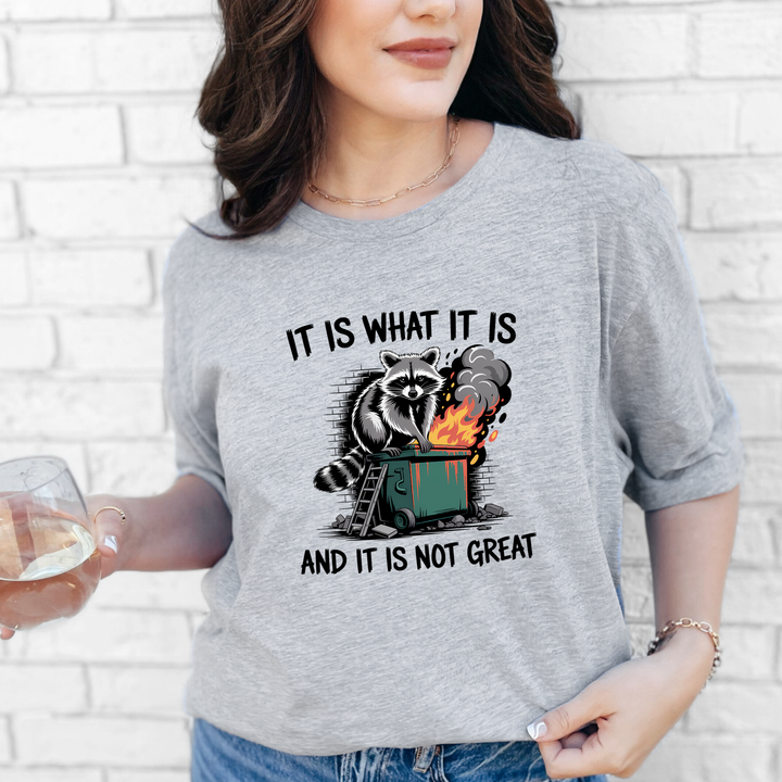 It Is What It Is Raccoon Graphic Tee