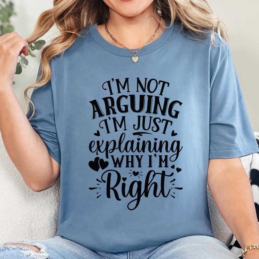 Wholesale I'm Not Arguing Graphic Tee - Steel Blue Tee
