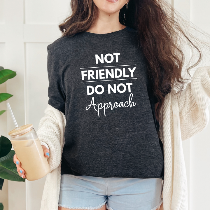 Wholesale Not Friendly Do Not Approach Graphic Tee - Dark Grey Heather Tee