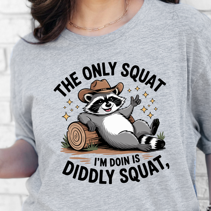 Wholesale Diddly Squat Graphic Tee - Grey