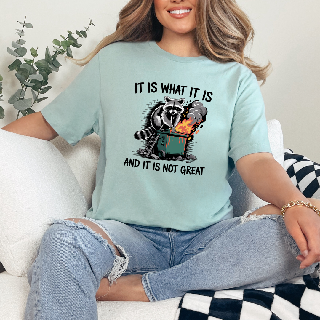It Is What It Is Raccoon Graphic Tee