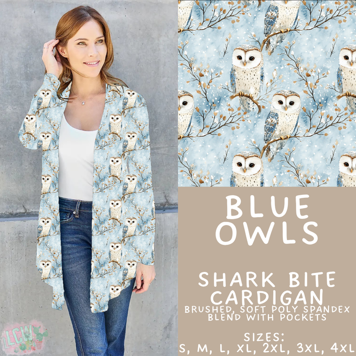Batch #439 - Winter Watercolor 2 - Closes 10/30 - ETA mid Dec - Blue Owls Cardigan