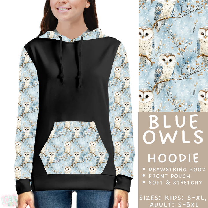 Batch #439 - Winter Watercolor 2 - Closes 10/30 - ETA mid Dec - Blue Owls Hoodie
