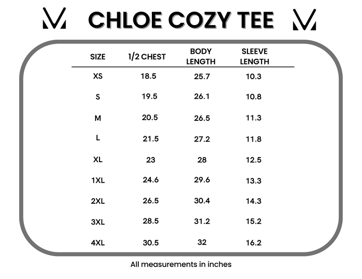 IN STOCK Chloe Cozy Tee - Purple | Women's V-Neck Top FINAL SALE