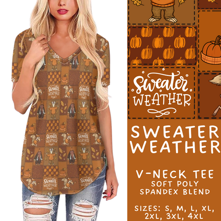 Batch #409 - Character Fall 2 - Closes 9/8 - ETA late October - Sweater Weather V-Neck Tee